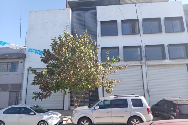 BODEGA EN RENTA PARAISOS DEL COLLI $31,000
