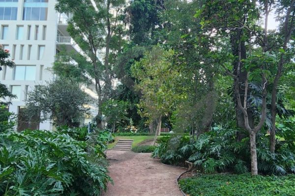 Departamento Pent House en Central Park